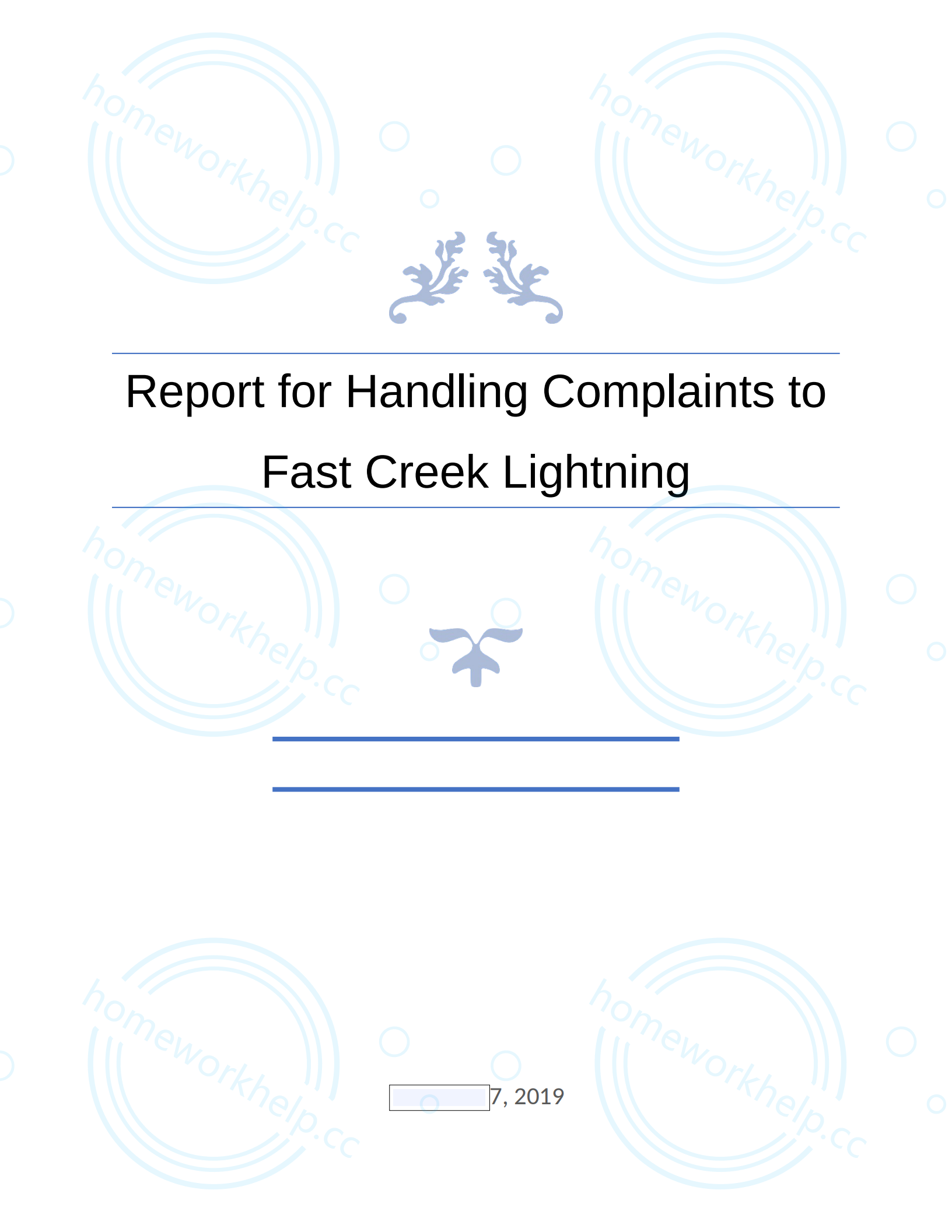 Report for Handling Complaints to Fast Creek Lightning