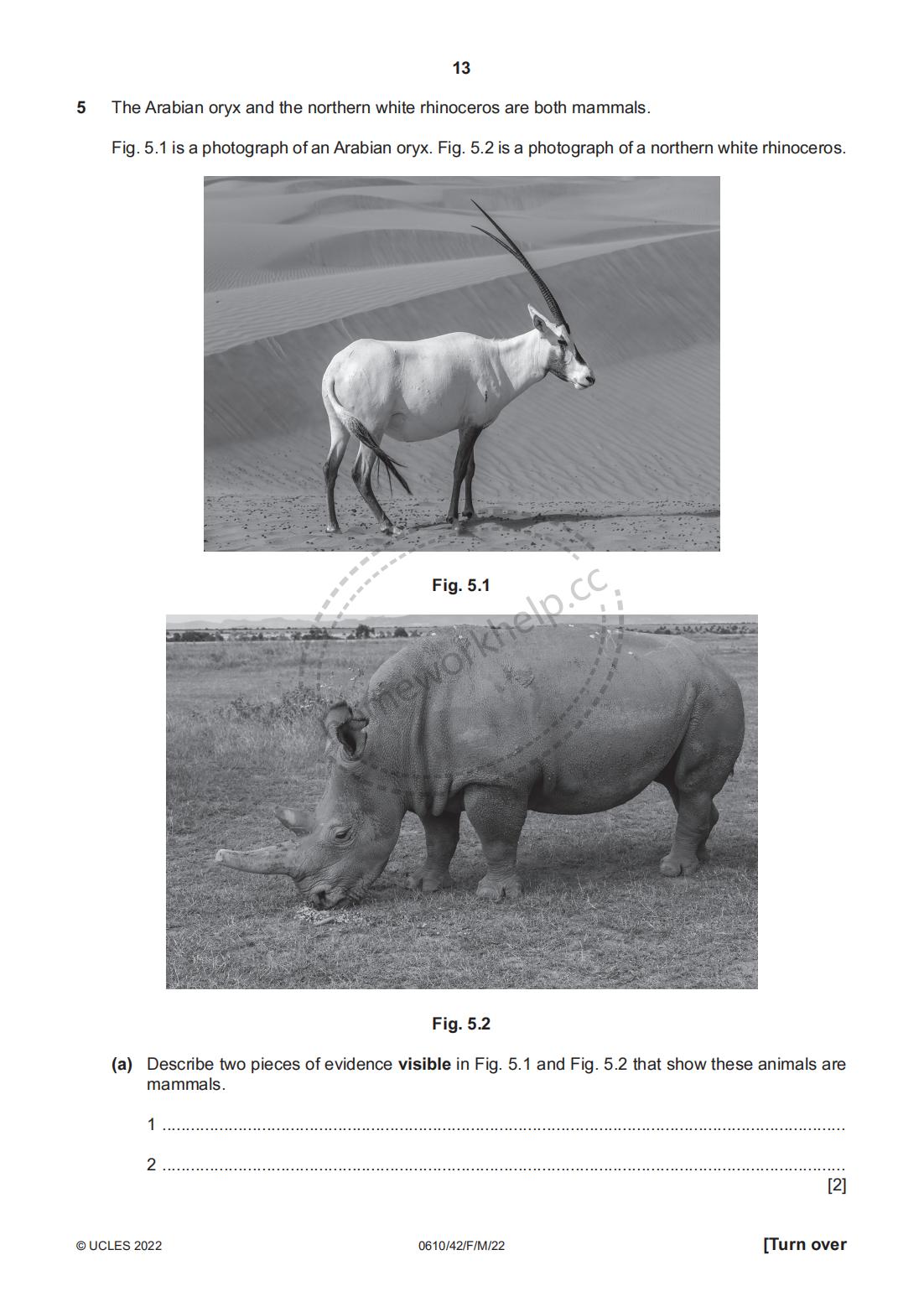 Question-5 The Arabian oryx and the northern white rhinoceros are both mammals